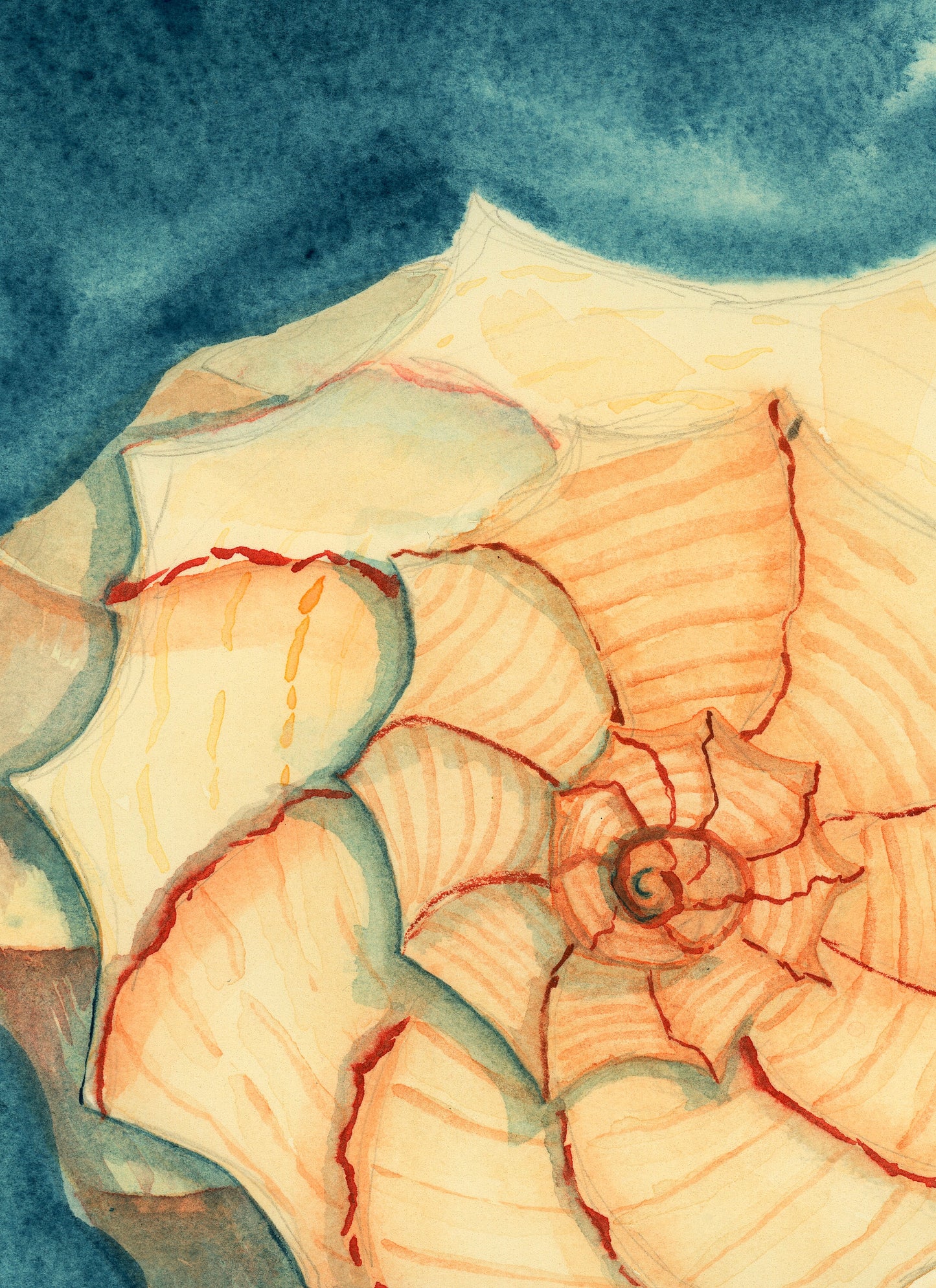 Tidal Treasure Art Prints