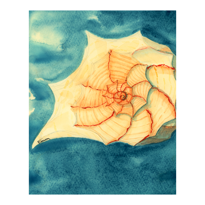Tidal Treasure Art Prints