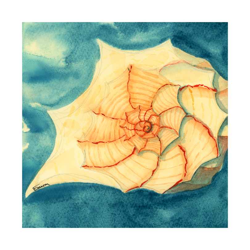 Tidal Treasure Art Prints