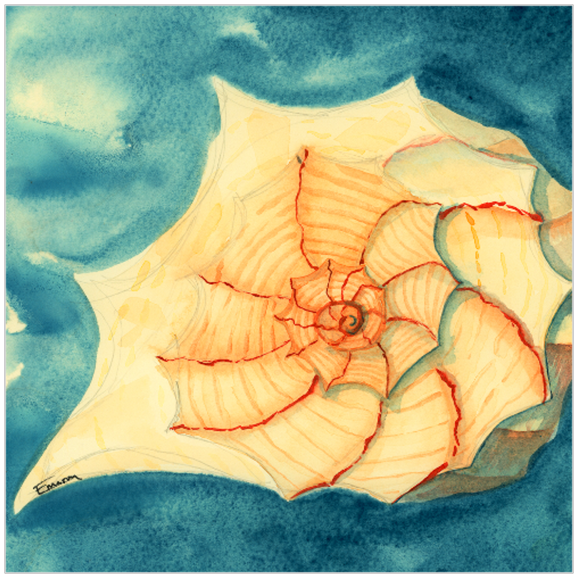 Tidal Treasure Art Prints