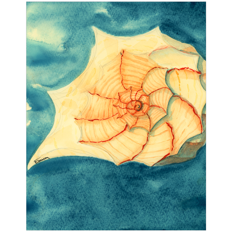 Tidal Treasure Art Prints