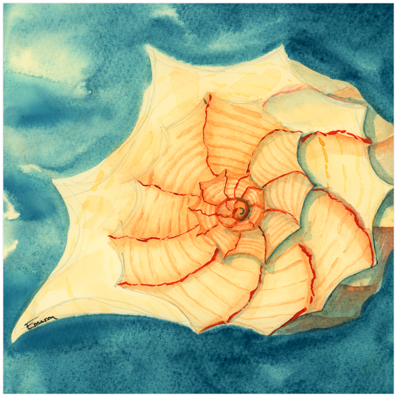 Tidal Treasure Art Prints