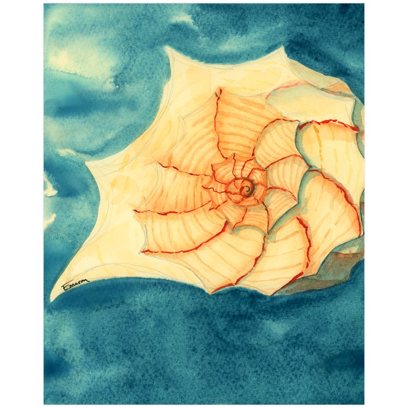 Tidal Treasure Art Prints