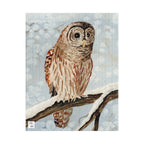 Owl's Silent Vigil Puzzle