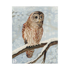 Owl's Silent Vigil Puzzle
