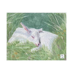Glade of Dreams Puzzle