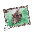 Cecropia Moth Puzzle