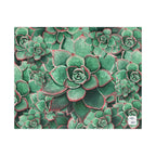 Eccheveria Bloom Puzzle