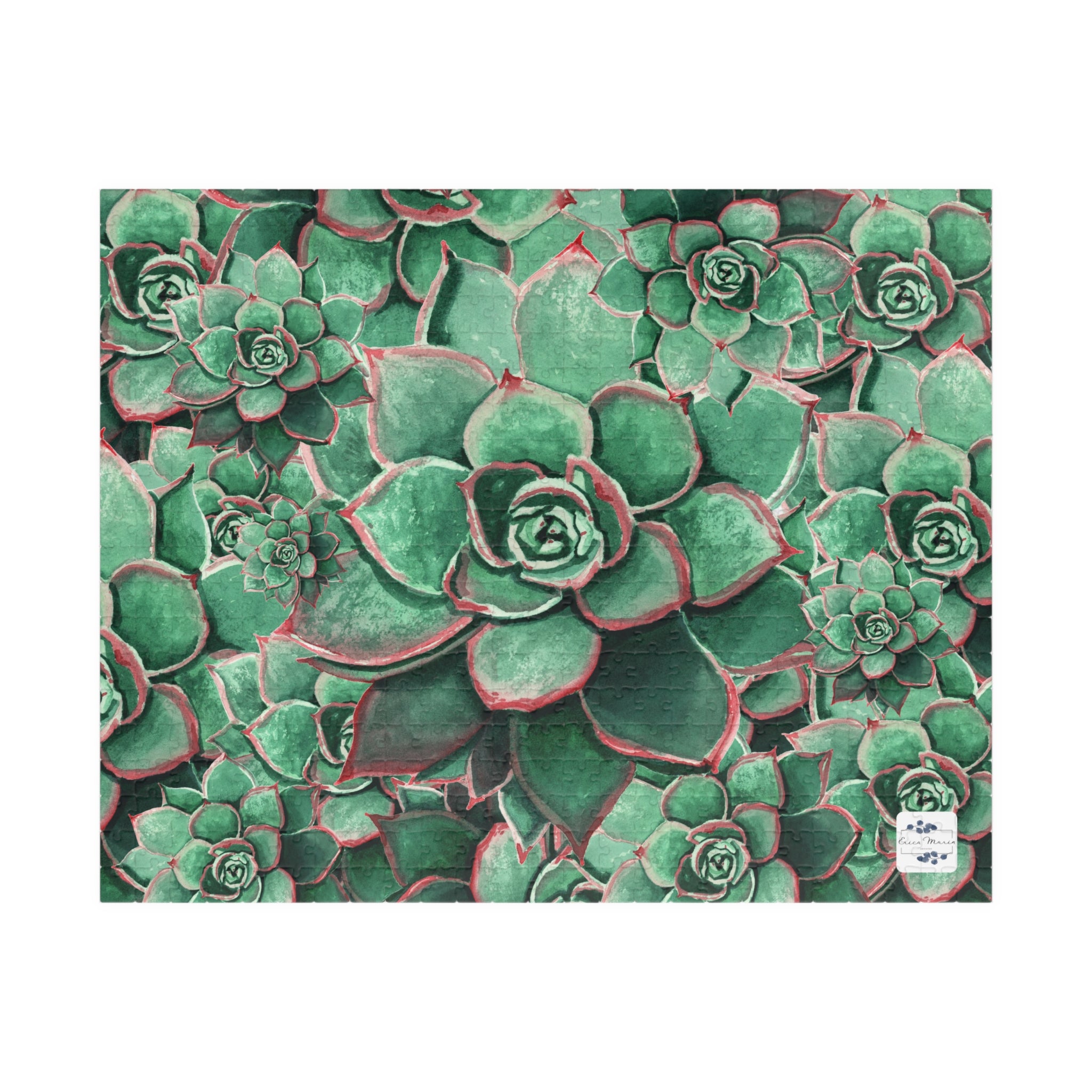 Eccheveria Bloom Puzzle