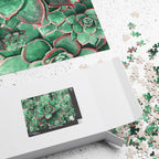 Eccheveria Bloom Puzzle