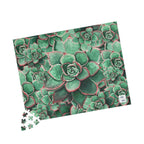 Eccheveria Bloom Puzzle