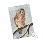 Owl's Silent Vigil Puzzle