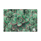 Eccheveria Bloom Puzzle