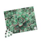 Eccheveria Bloom Puzzle