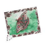 Cecropia Moth Puzzle