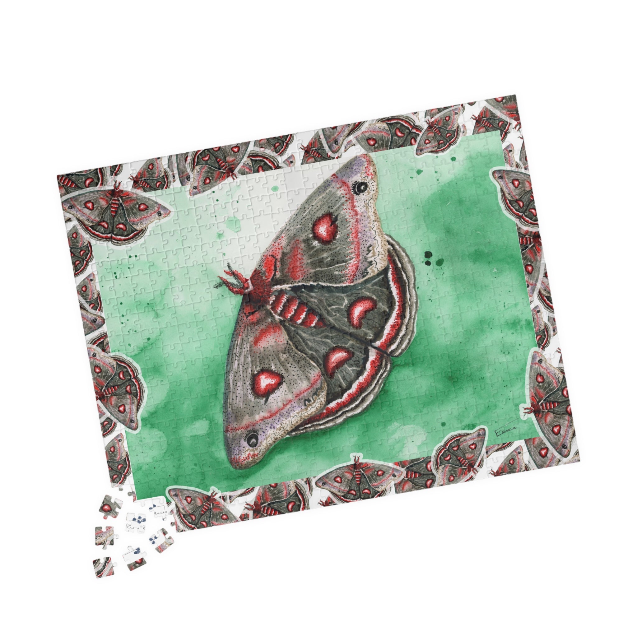 Cecropia Moth Puzzle