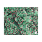 Eccheveria Bloom Puzzle