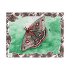 Cecropia Moth Puzzle