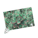 Eccheveria Bloom Puzzle