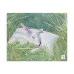 Glade of Dreams Puzzle
