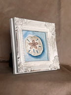 Sand Dollar Serenity |3x3 | Framed