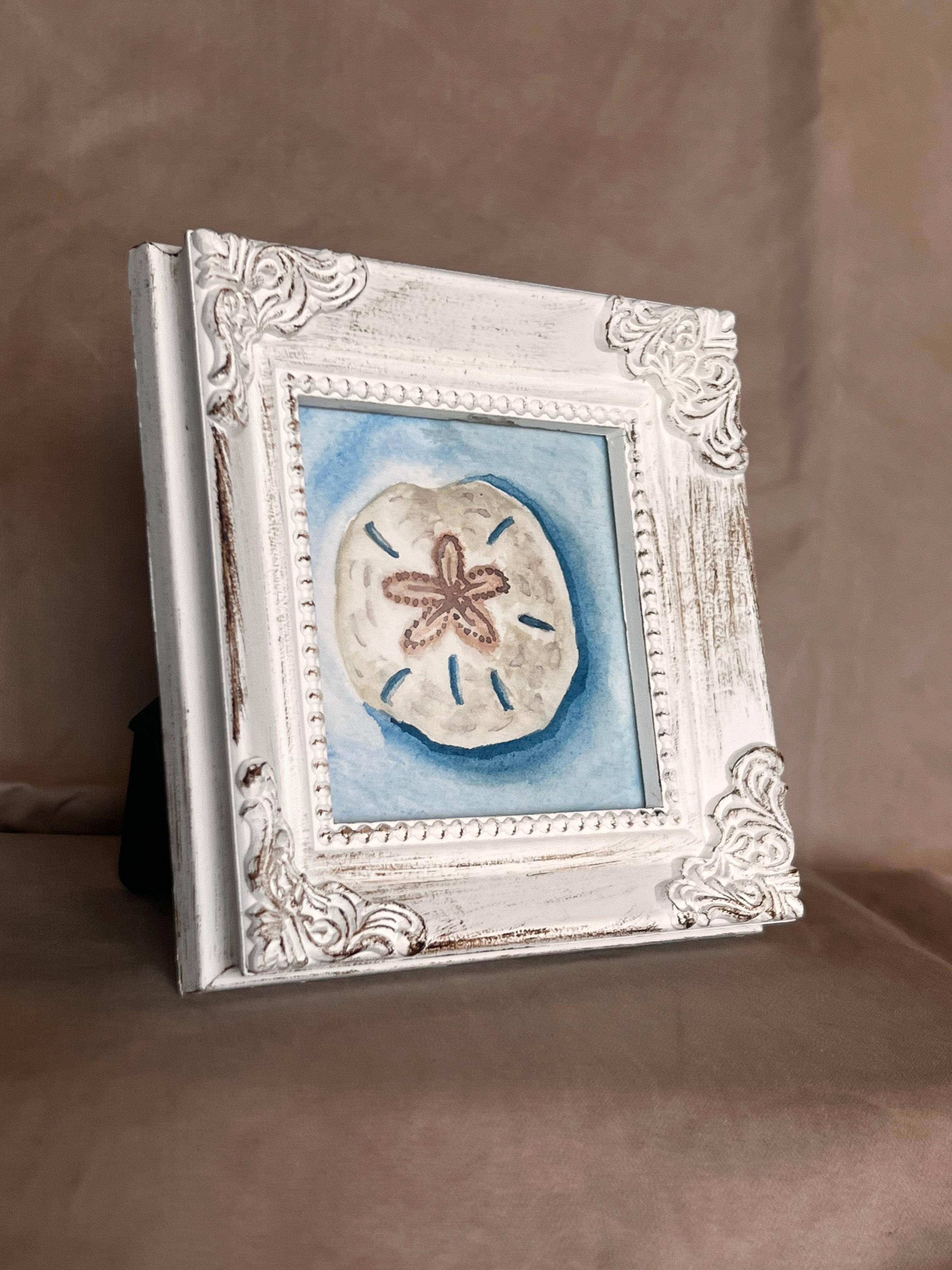 Sand Dollar Serenity |3x3 | Framed