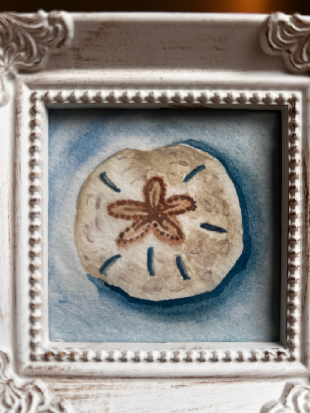 Sand Dollar Serenity |3x3 | Framed