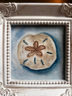 Sand Dollar Serenity |3x3 | Framed