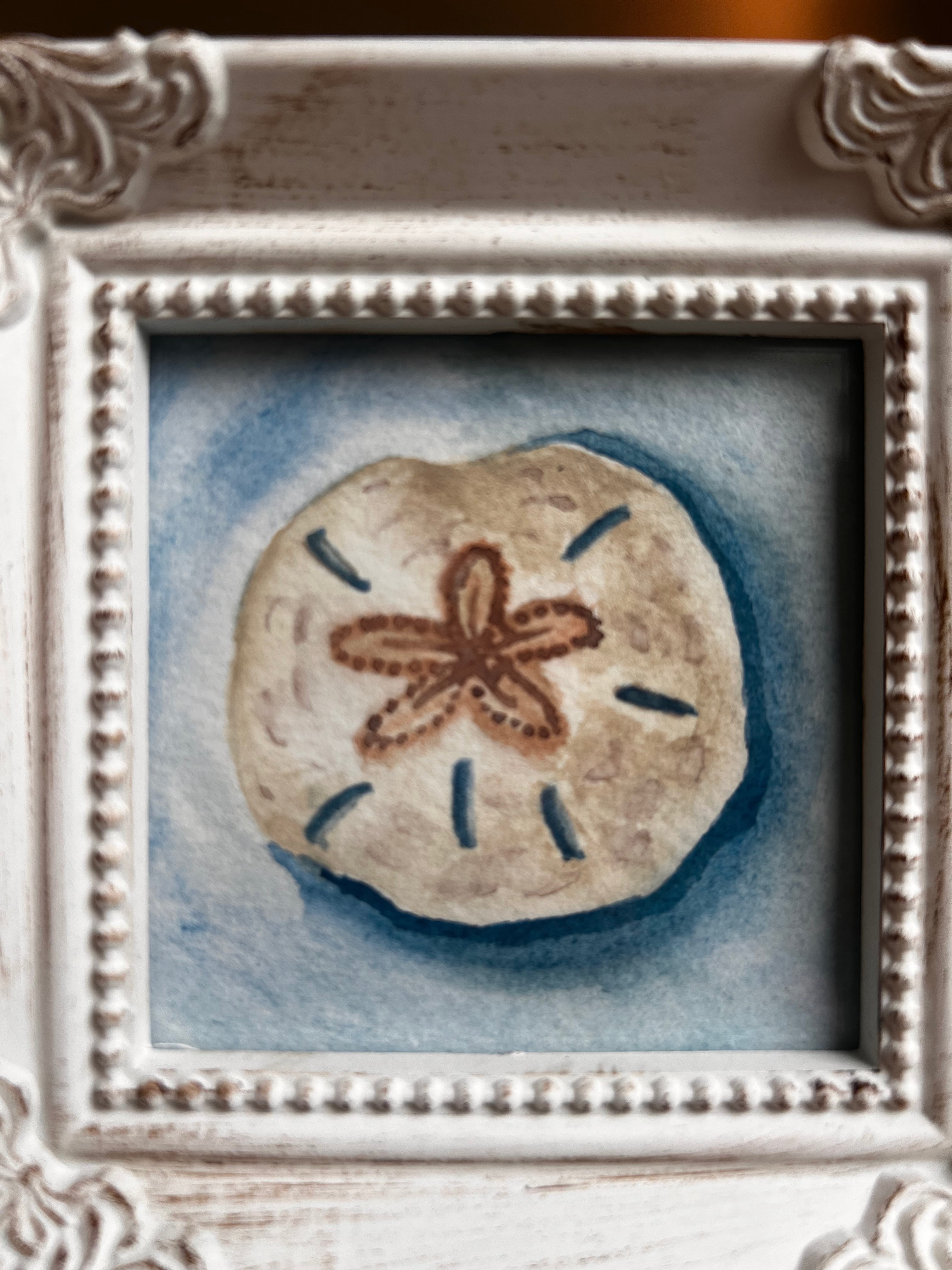 Sand Dollar Serenity |3x3 | Framed