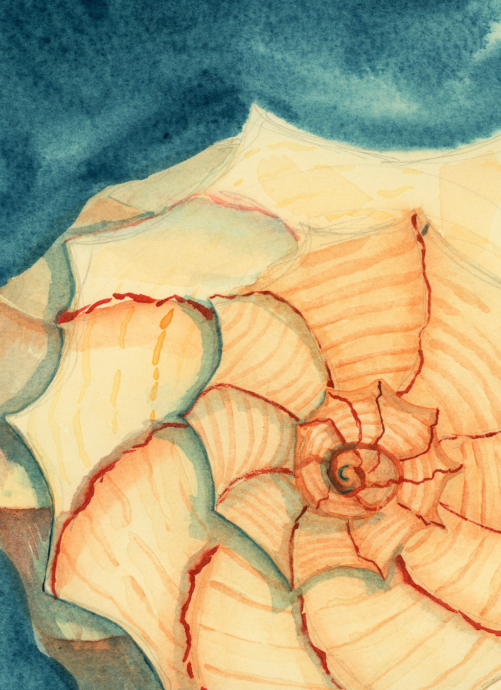 Tidal Treasure Art Prints