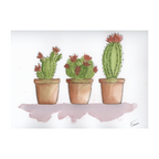 Potted Pokies Art Print