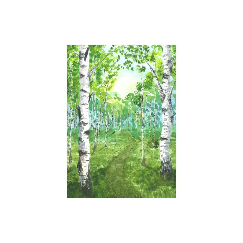 Forest Awakens