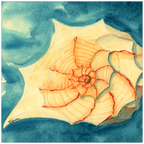 Tidal Treasure Art Prints