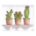 Potted Pokies Art Print