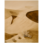 Shifting Silence Art Print