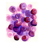 Idaho Huckleberries Art Print