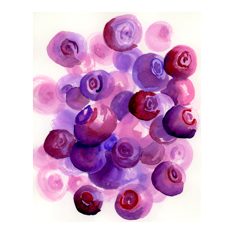 Idaho Huckleberries Art Print