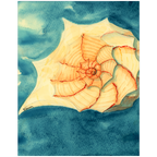 Tidal Treasure Art Prints