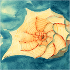 Tidal Treasure Art Prints