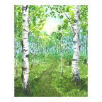 Forest Awakens