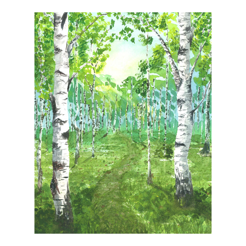 Forest Awakens