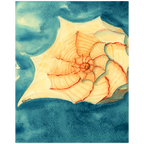 Tidal Treasure Art Prints
